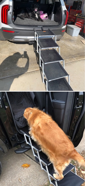 Practical Applications for Dog Stairs